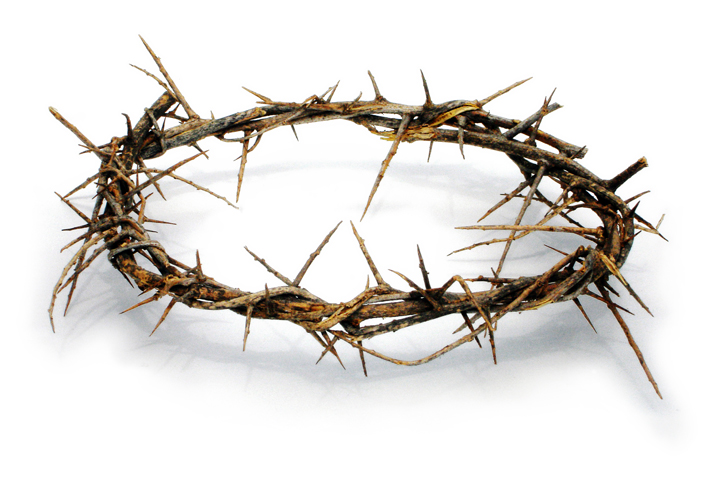 Crown-of-Thorns.jpg