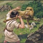 david vs lion