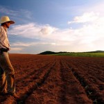 patient farmer